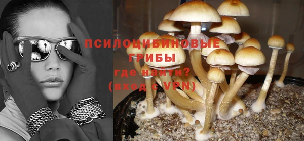 spice Россошь
